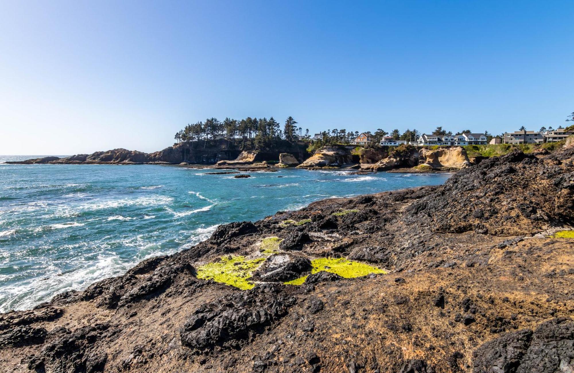 Whale's Paradise Depoe Bay Bagian luar foto