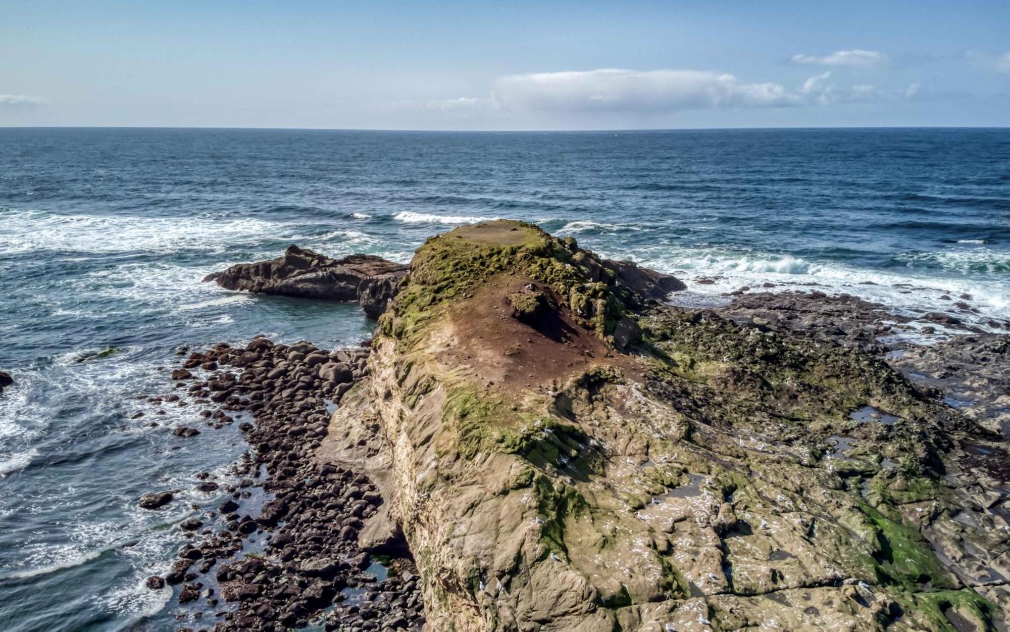 Whale's Paradise Depoe Bay Bagian luar foto